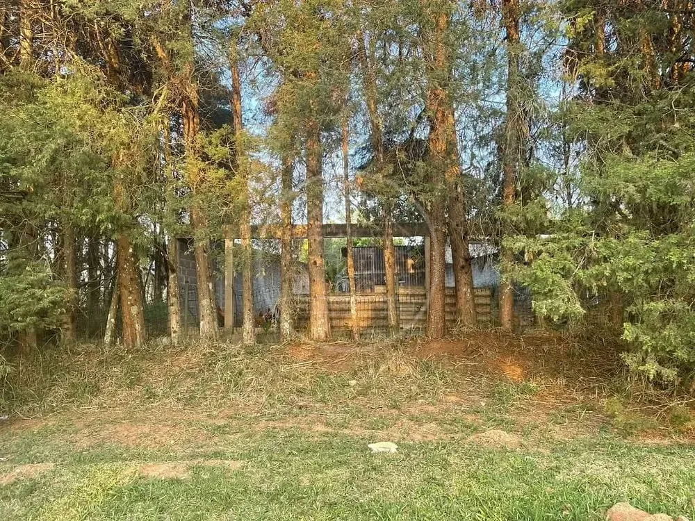 Terreno, 250 m² - Foto 1