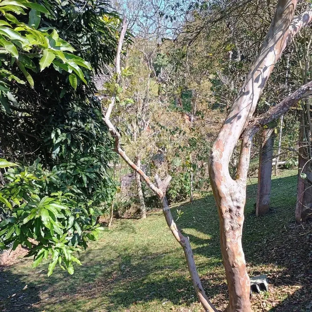 Chácara, 3 quartos, 5250 m² - Foto 12
