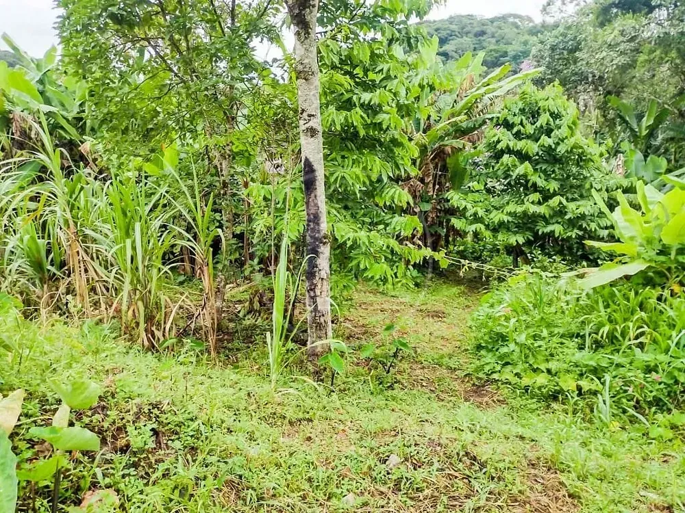 Chácara, 2 quartos, 5000 m² - Foto 11