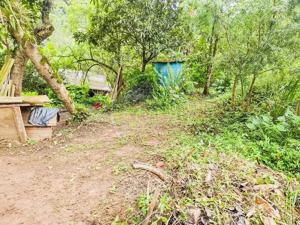 Chácara, 2 quartos, 5000 m² - Foto 3