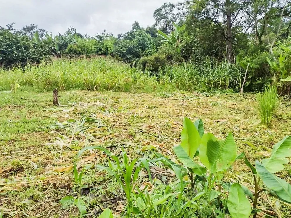 Chácara, 2 quartos, 5000 m² - Foto 6