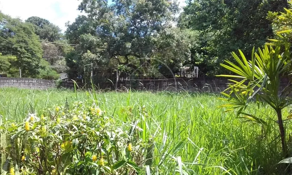 Terreno, 1000 m² - Foto 6