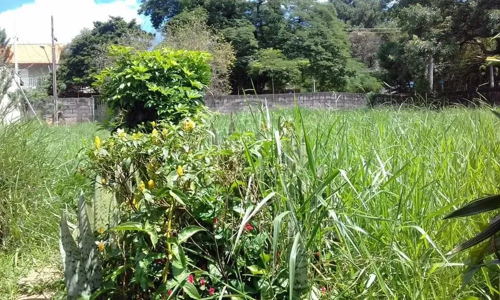 Terreno, 1000 m² - Foto 7