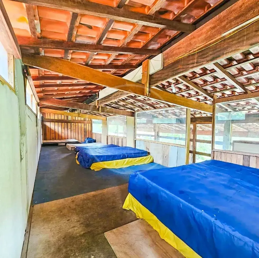 Chácara, 4 quartos, 3800 m² - Foto 4