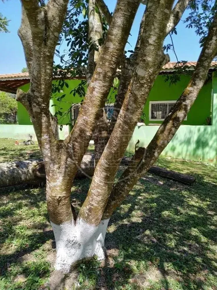 Chácara, 3 quartos, 2600 m² - Foto 6