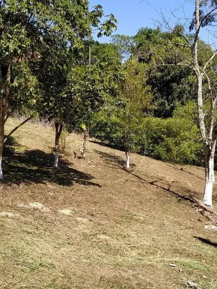 Chácara, 3 quartos, 2600 m² - Foto 5
