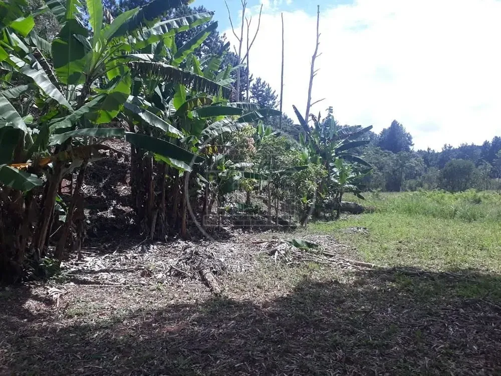 Terreno, 1 hectares - Foto 8