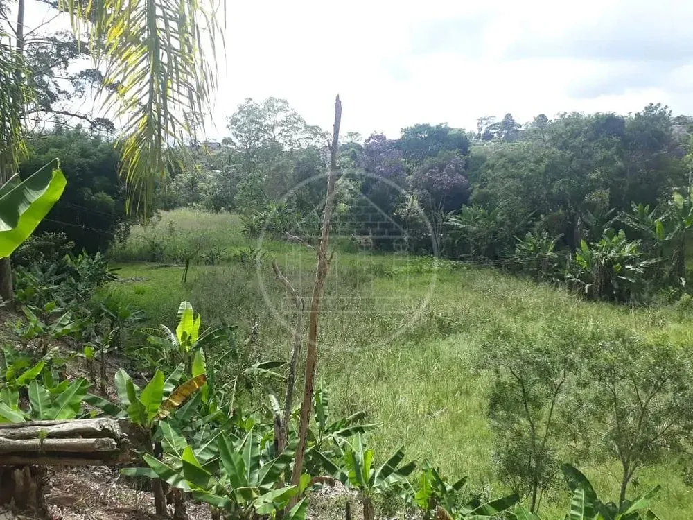 Terreno, 1 hectares - Foto 4