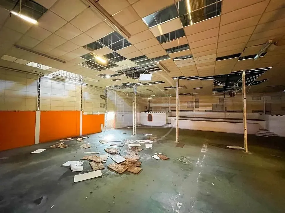 Terreno, 3650 m² - Foto 2