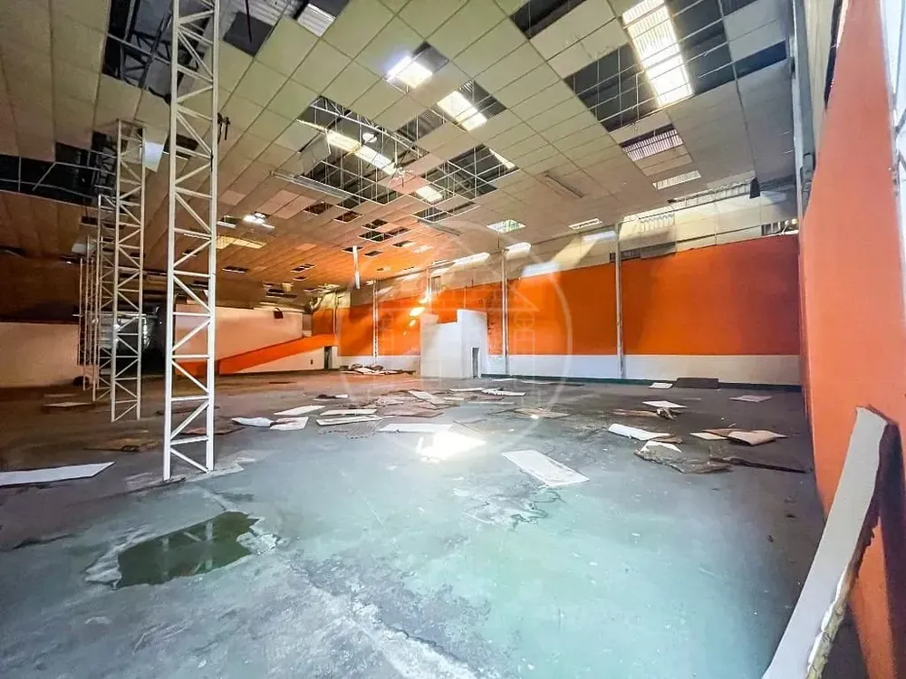 Terreno, 3650 m² - Foto 14