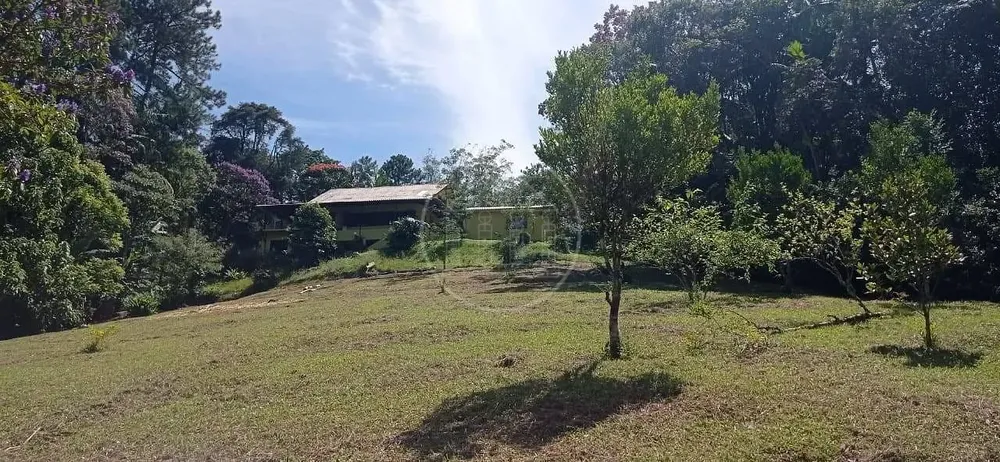 Sítio, 3 quartos, 5 hectares - Foto 7