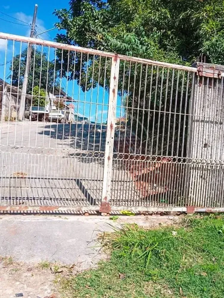 Terreno, 5 hectares - Foto 7