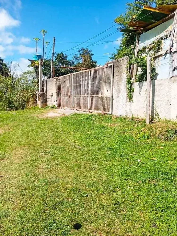 Terreno, 5 hectares - Foto 6