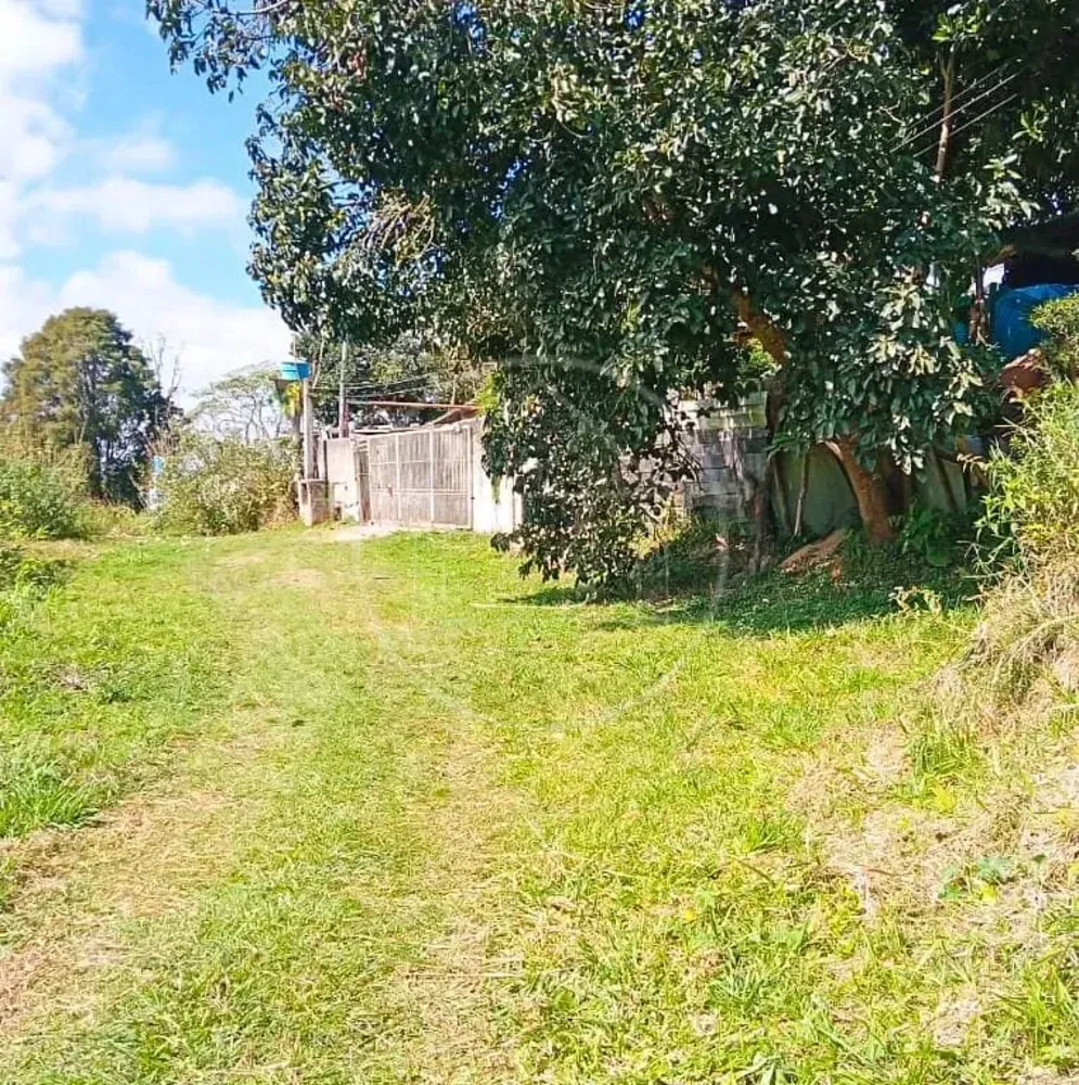 Terreno, 5 hectares - Foto 7