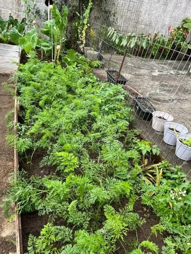 Chácara, 4 quartos, 4200 m² - Foto 11