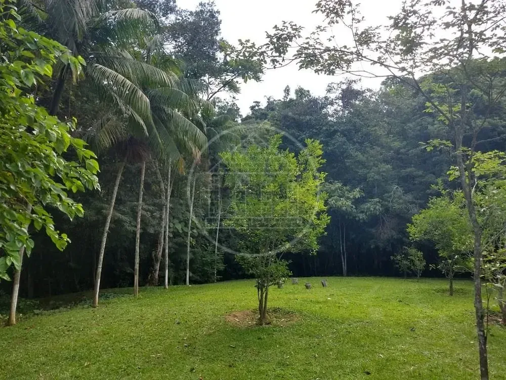 Chácara, 3 quartos, 7200 m² - Foto 7