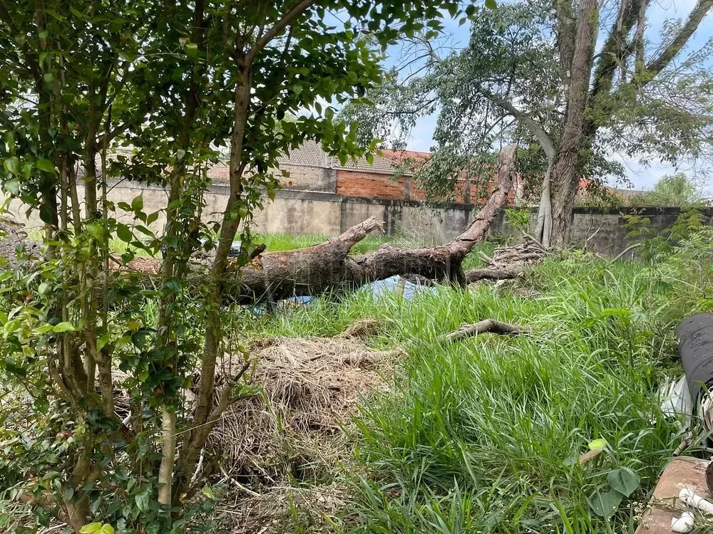 Terreno, 1050 m² - Foto 9