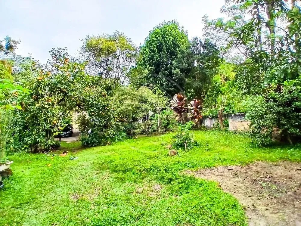 Chácara, 3 quartos, 4450 m² - Foto 9