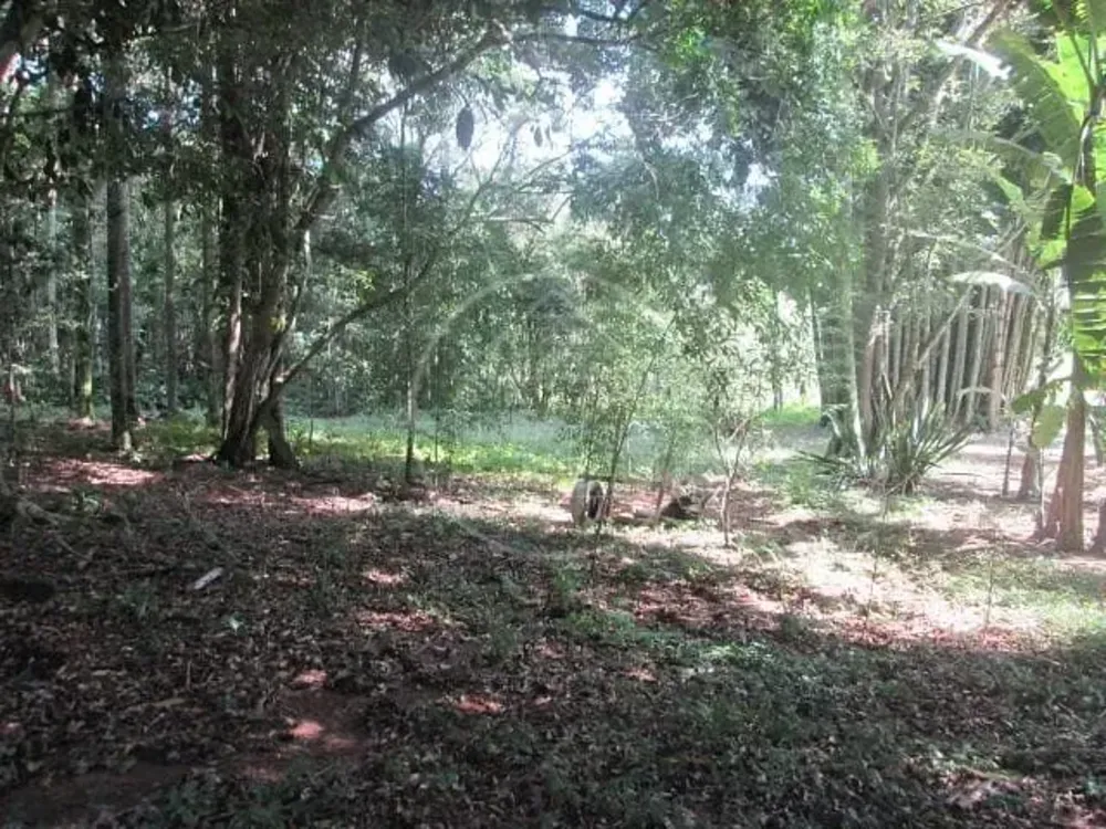 Sítio, 3 quartos, 6 hectares - Foto 12