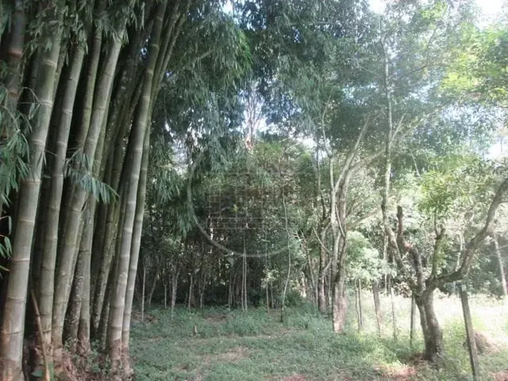 Sítio, 3 quartos, 6 hectares - Foto 1