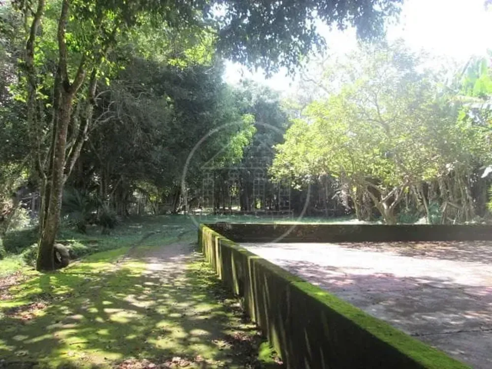 Sítio, 3 quartos, 6 hectares - Foto 10