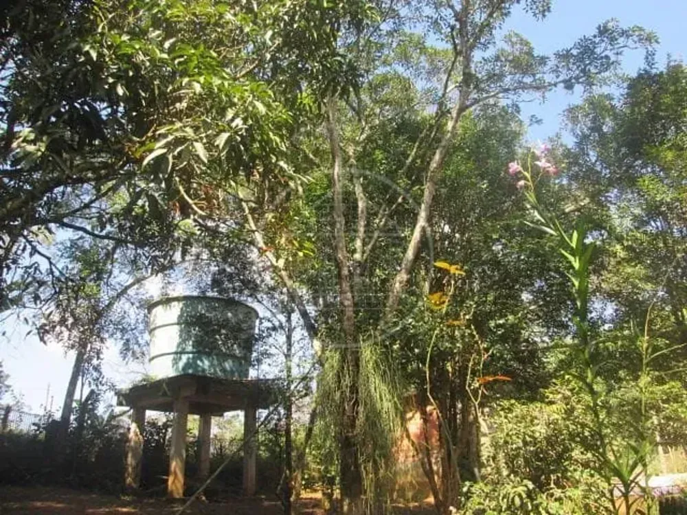Sítio, 3 quartos, 6 hectares - Foto 11