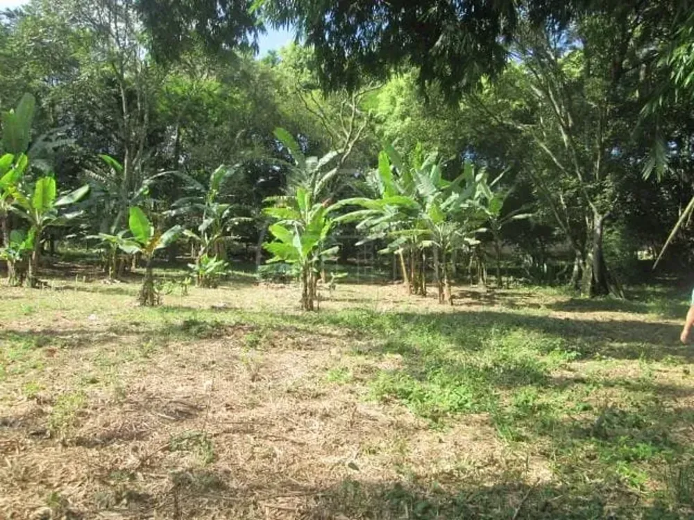 Sítio, 3 quartos, 6 hectares - Foto 4