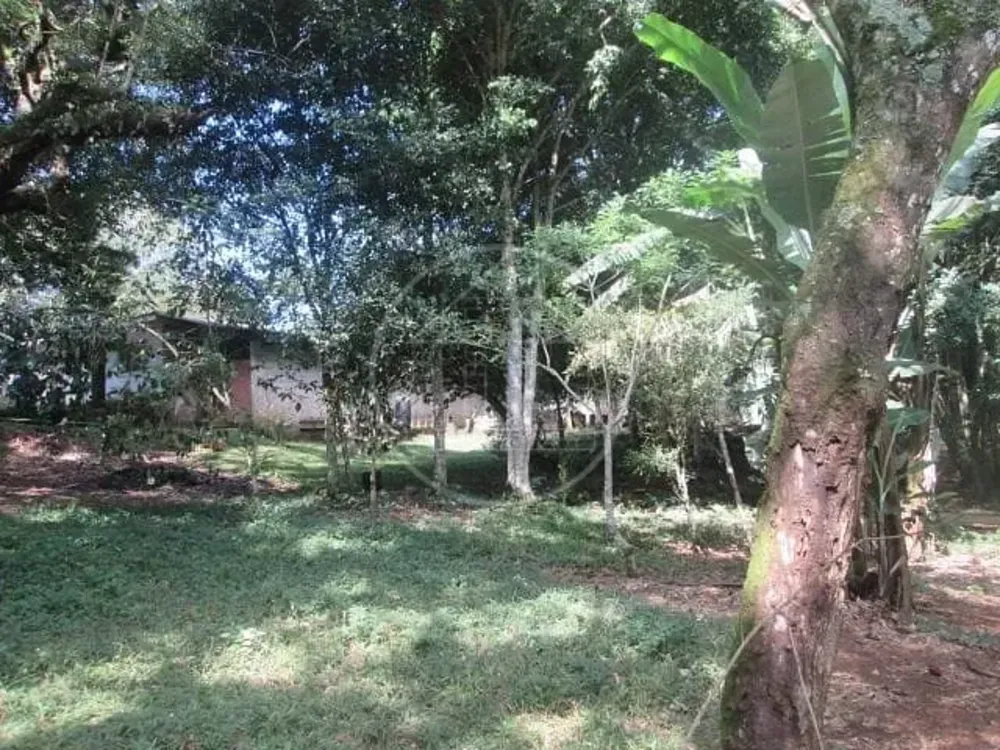 Sítio, 3 quartos, 6 hectares - Foto 7