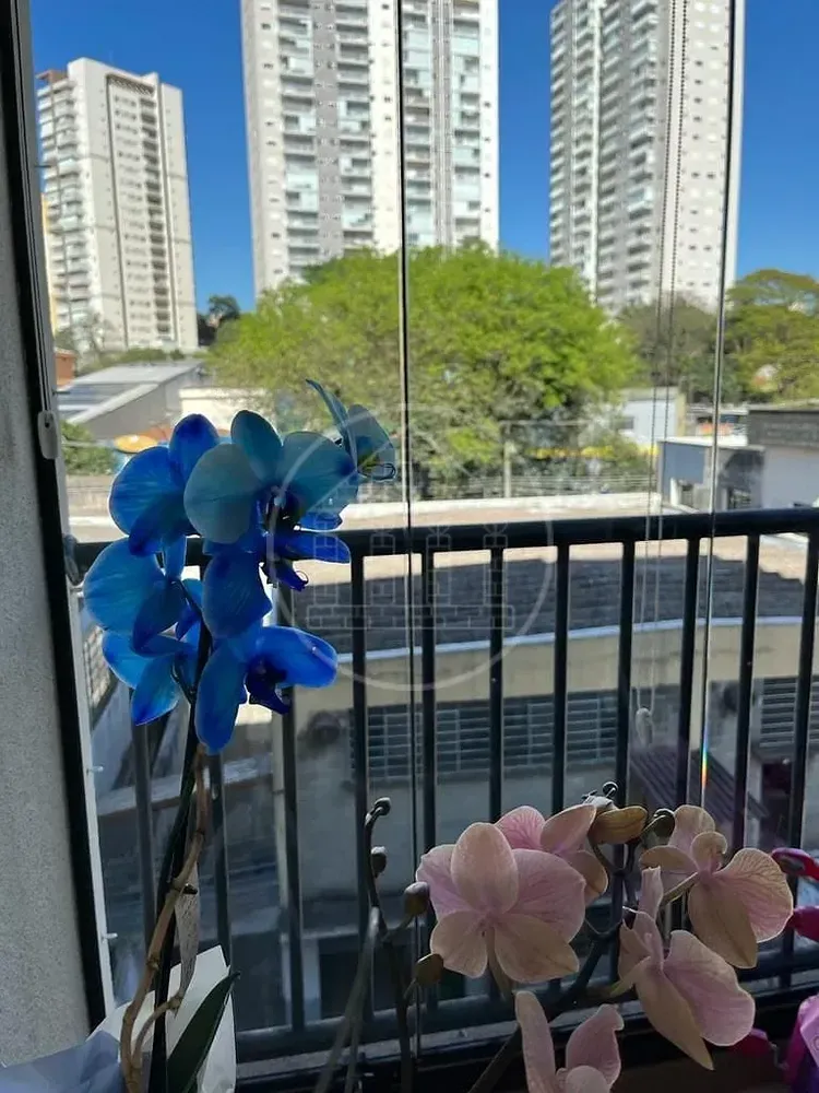 Apartamento, 3 quartos, 67 m² - Foto 9