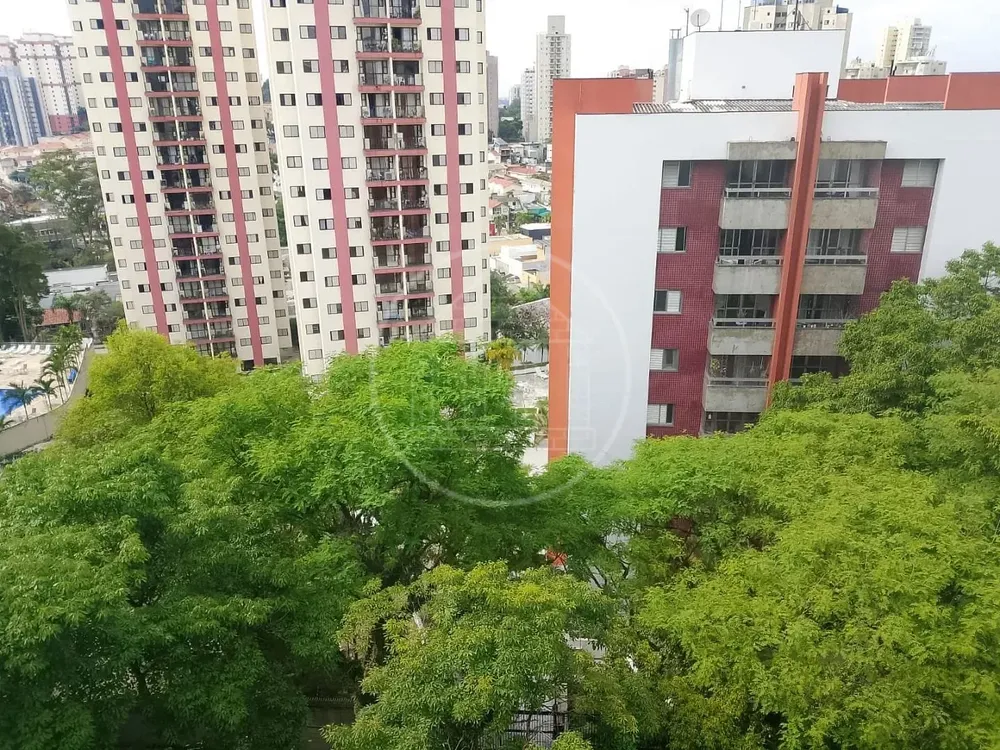 Apartamento, 3 quartos, 75 m² - Foto 10