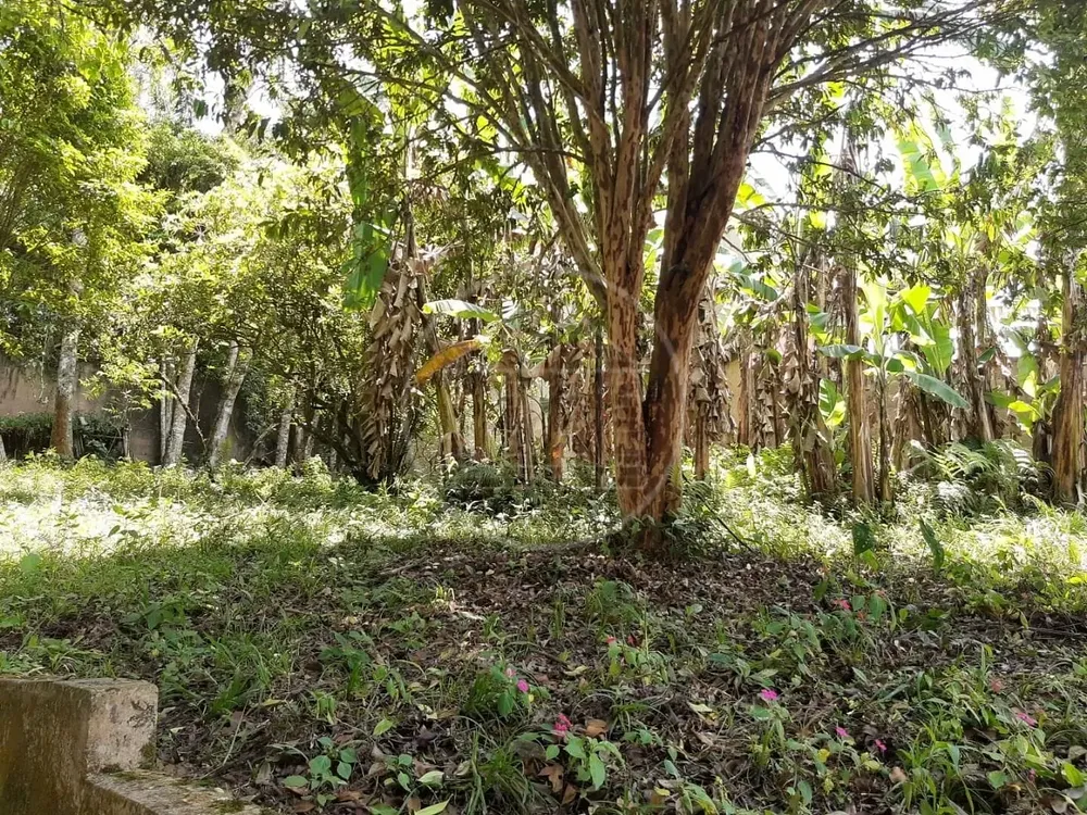 Chácara, 2 quartos, 1000 m² - Foto 5