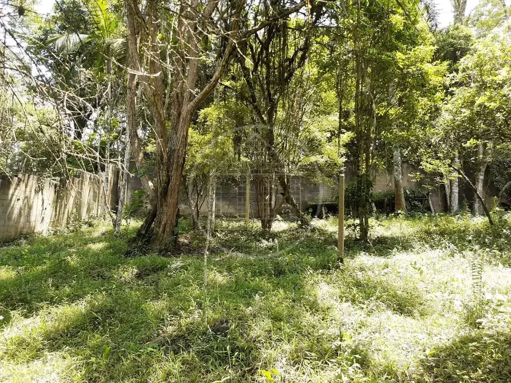 Chácara, 2 quartos, 1000 m² - Foto 15