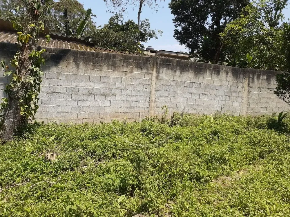 Chácara, 2 quartos, 1000 m² - Foto 6