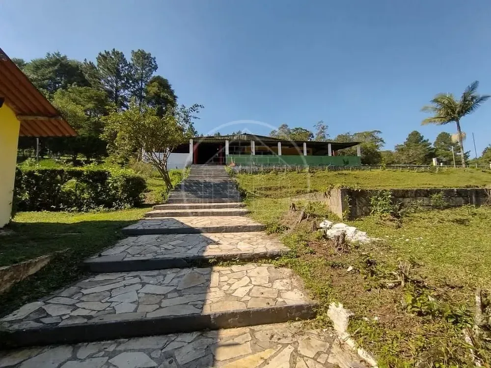 Sítio, 15 quartos, 3 hectares - Foto 8