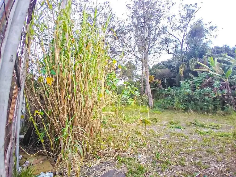 Terreno, 1800 m² - Foto 5