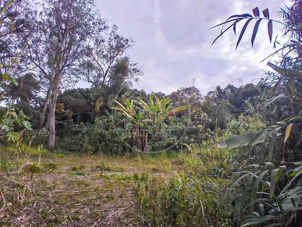 Terreno, 1800 m² - Foto 3