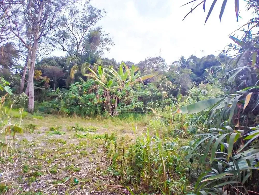 Terreno, 1800 m² - Foto 4