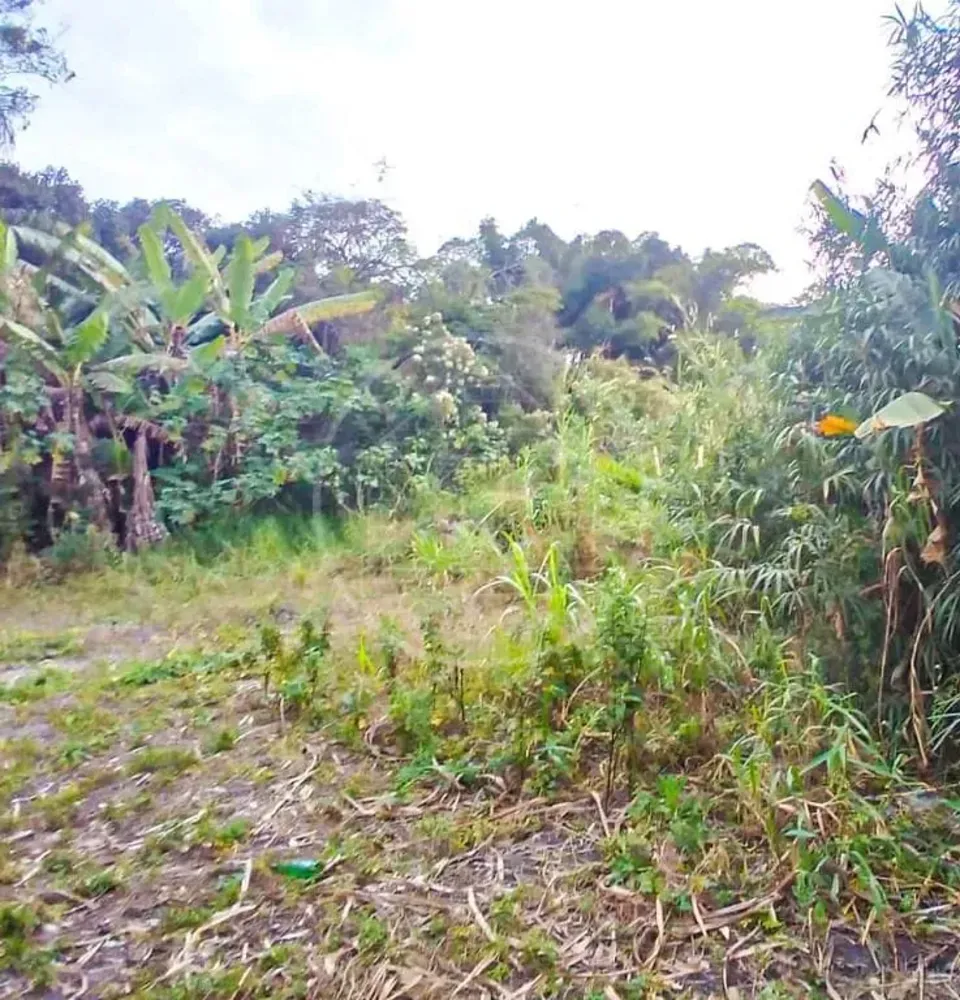 Terreno, 1800 m² - Foto 6
