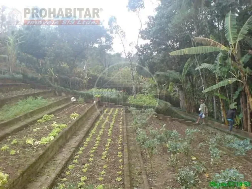 Chácara, 4 quartos, 3 hectares - Foto 12