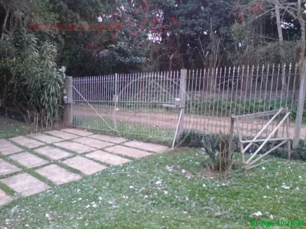 Chácara, 4 quartos, 3 hectares - Foto 4