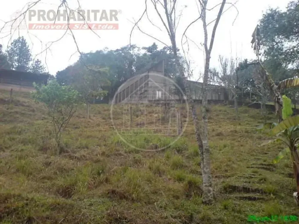 Chácara, 4 quartos, 3 hectares - Foto 10