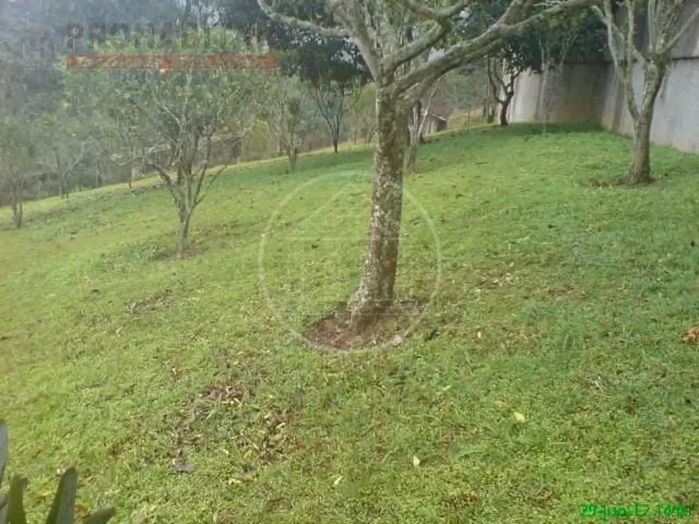 Chácara, 4 quartos, 3 hectares - Foto 9
