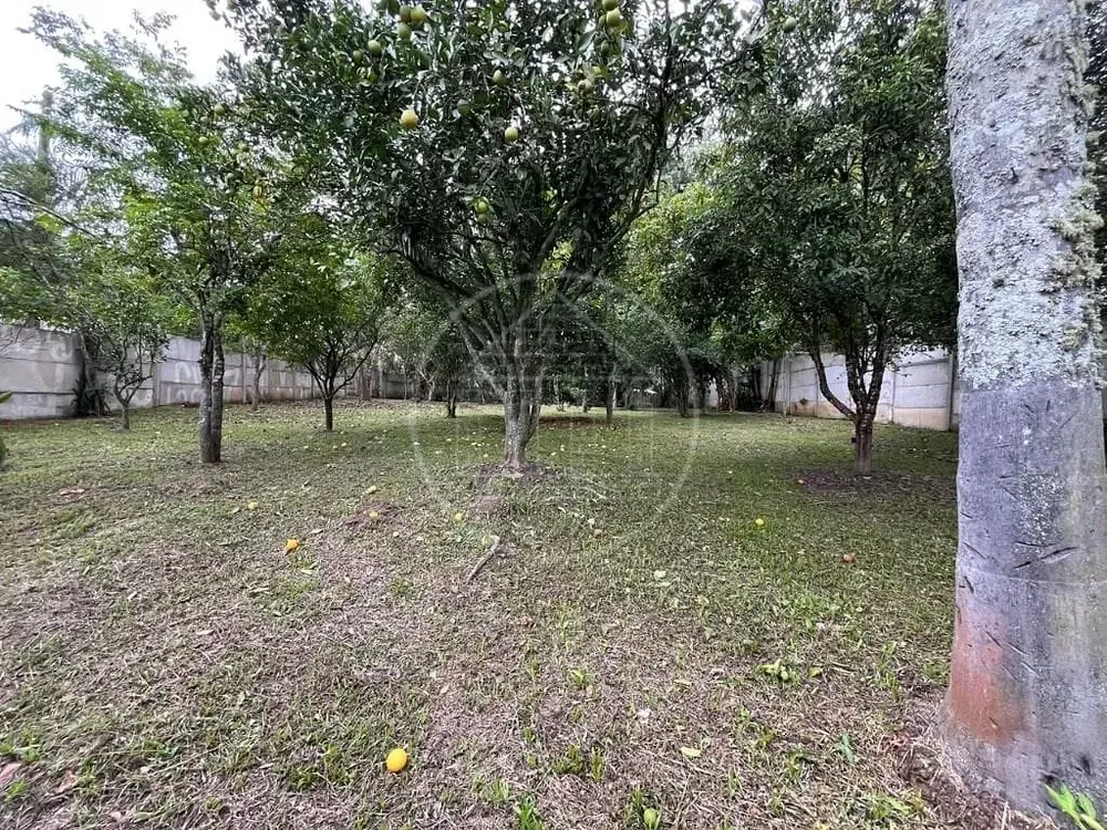 Chácara, 2 quartos, 1195 m² - Foto 8