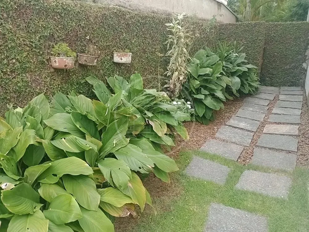 Casa, 5 quartos, 340 m² - Foto 6