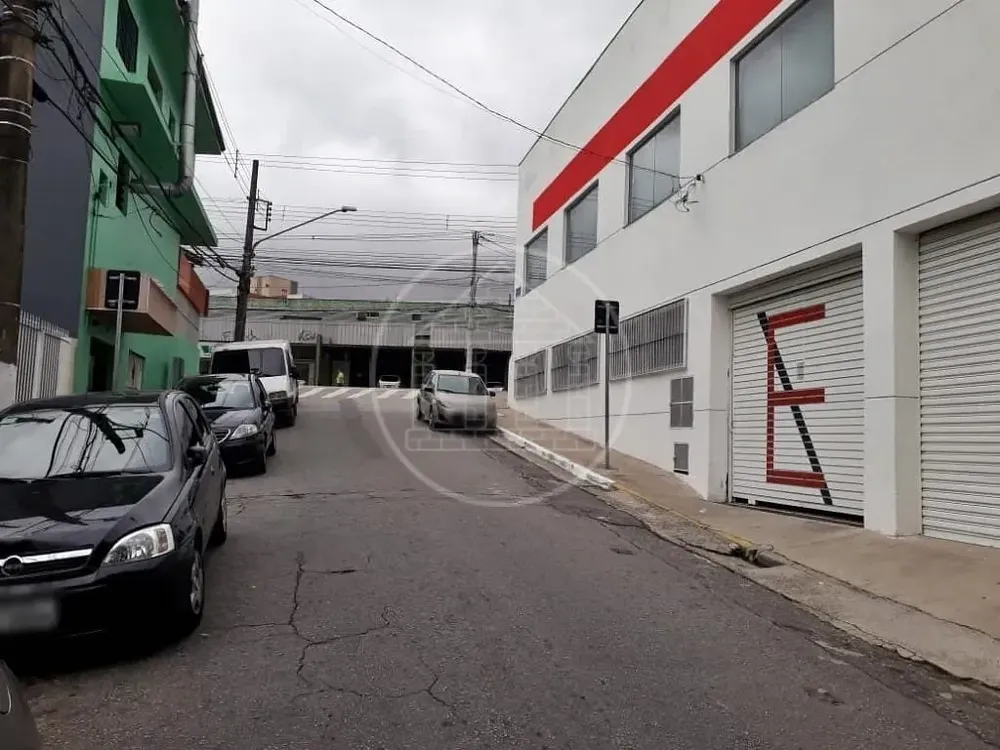 Casa, 3 quartos, 250 m² - Foto 15