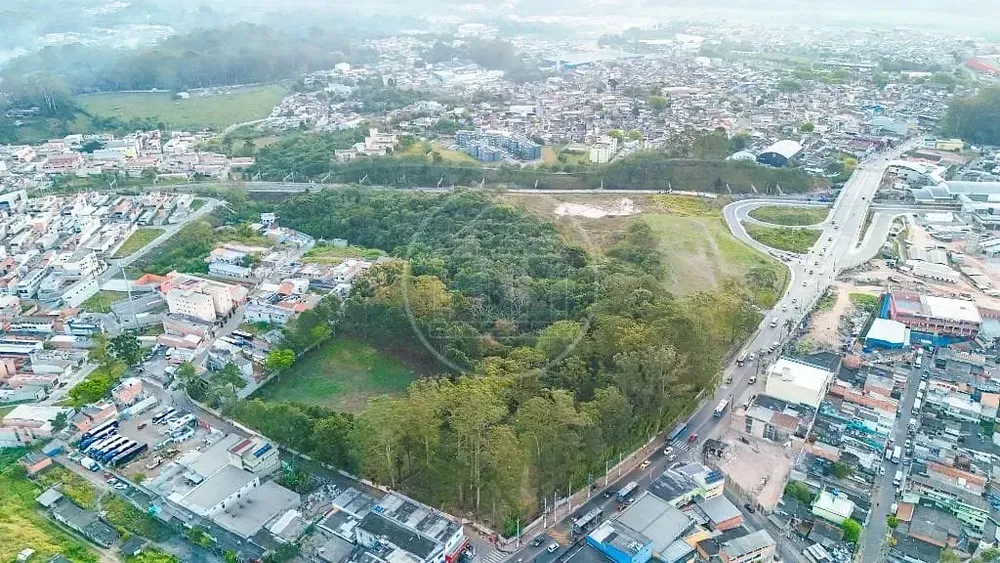 Terreno, 5 hectares - Foto 6