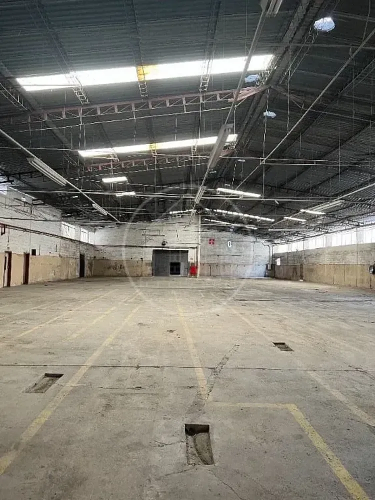 Depósito-Galpão, 1921 m² - Foto 2