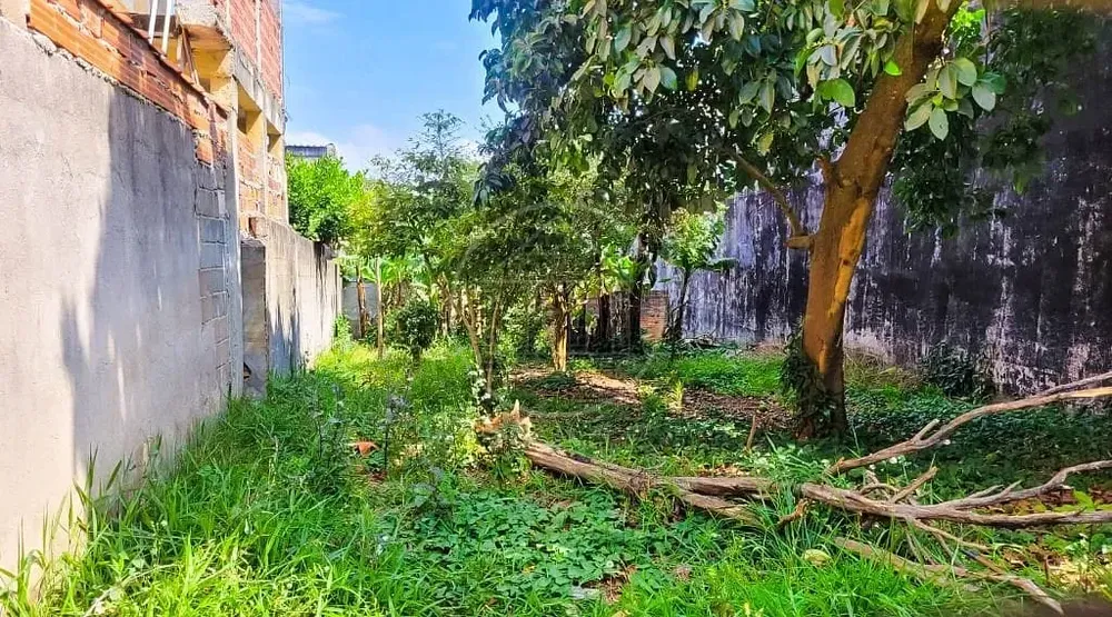 Terreno, 250 m² - Foto 1