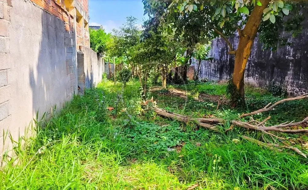 Terreno, 250 m² - Foto 3