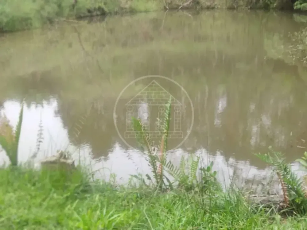 Terreno, 1 hectares - Foto 12